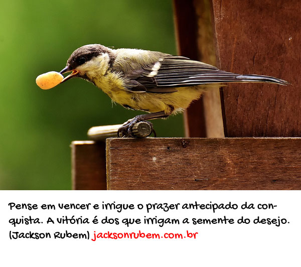 Frases de Vitoria 10