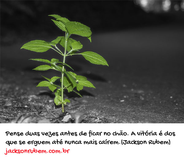 Frases de Vitoria 3