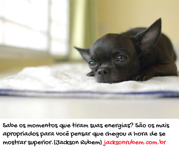 Frases de Vitoria 4