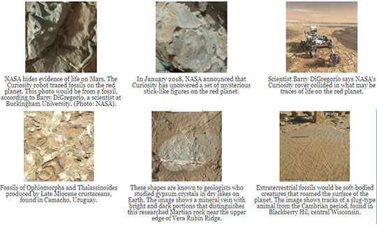 Evidence of extraterrestrial fossils on Mars